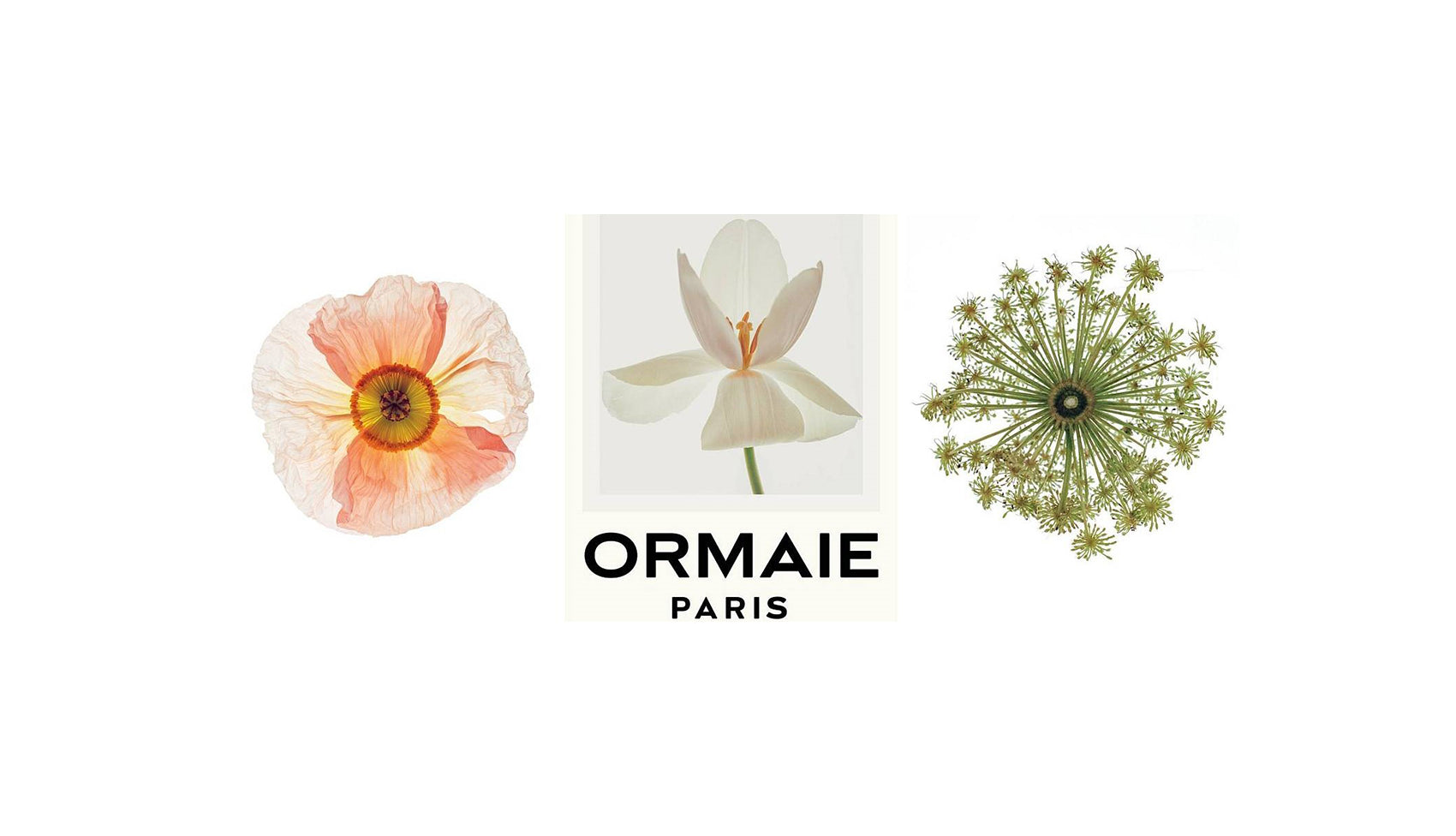 Introducing ORMAIE PARIS to Bedouin Traders