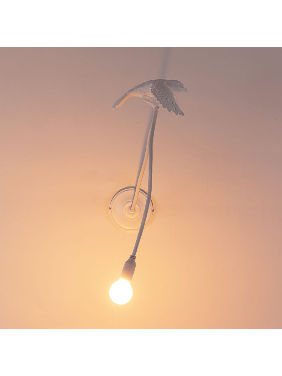 Sparrow Taking Off Lamp