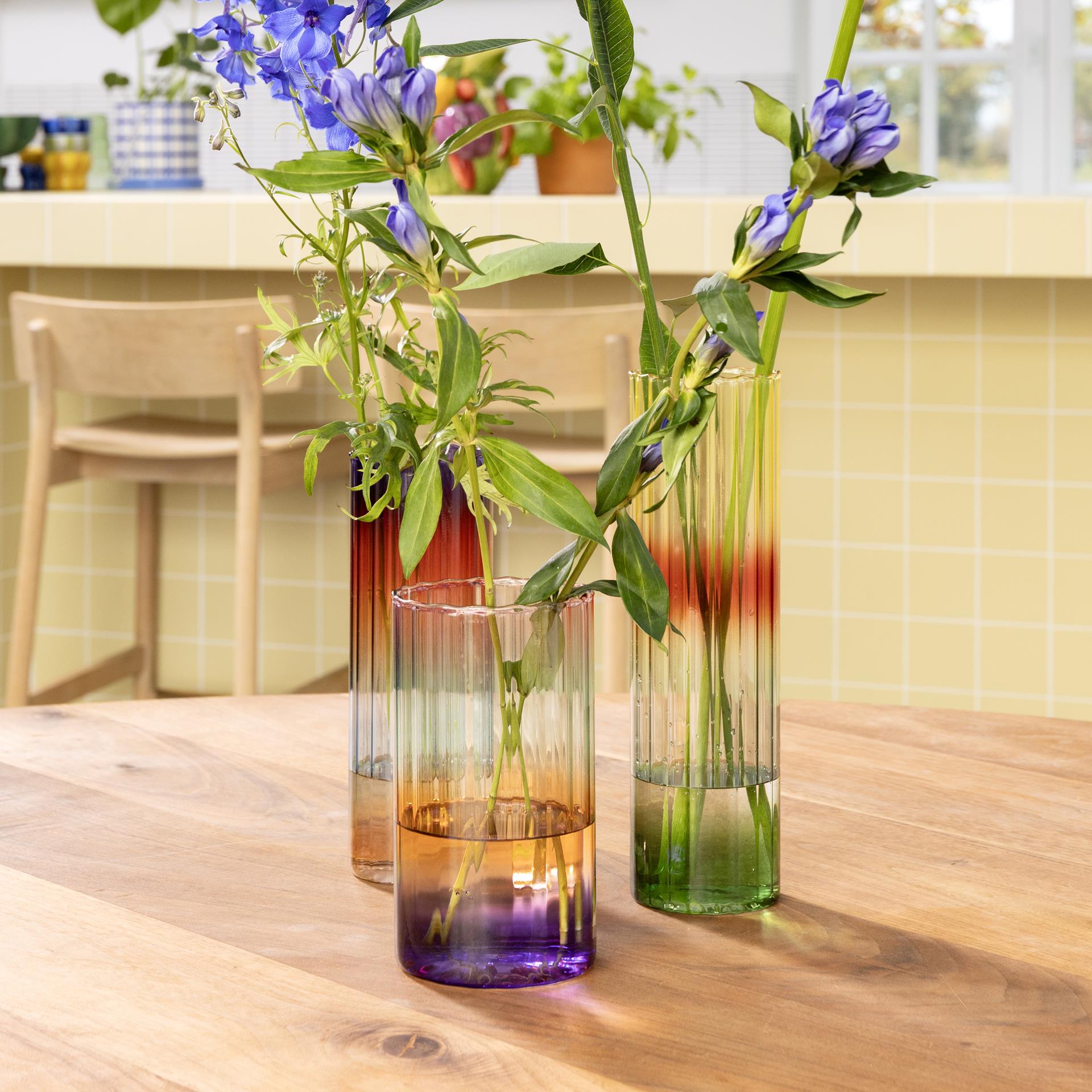 Vase Gradient Evening | Wide