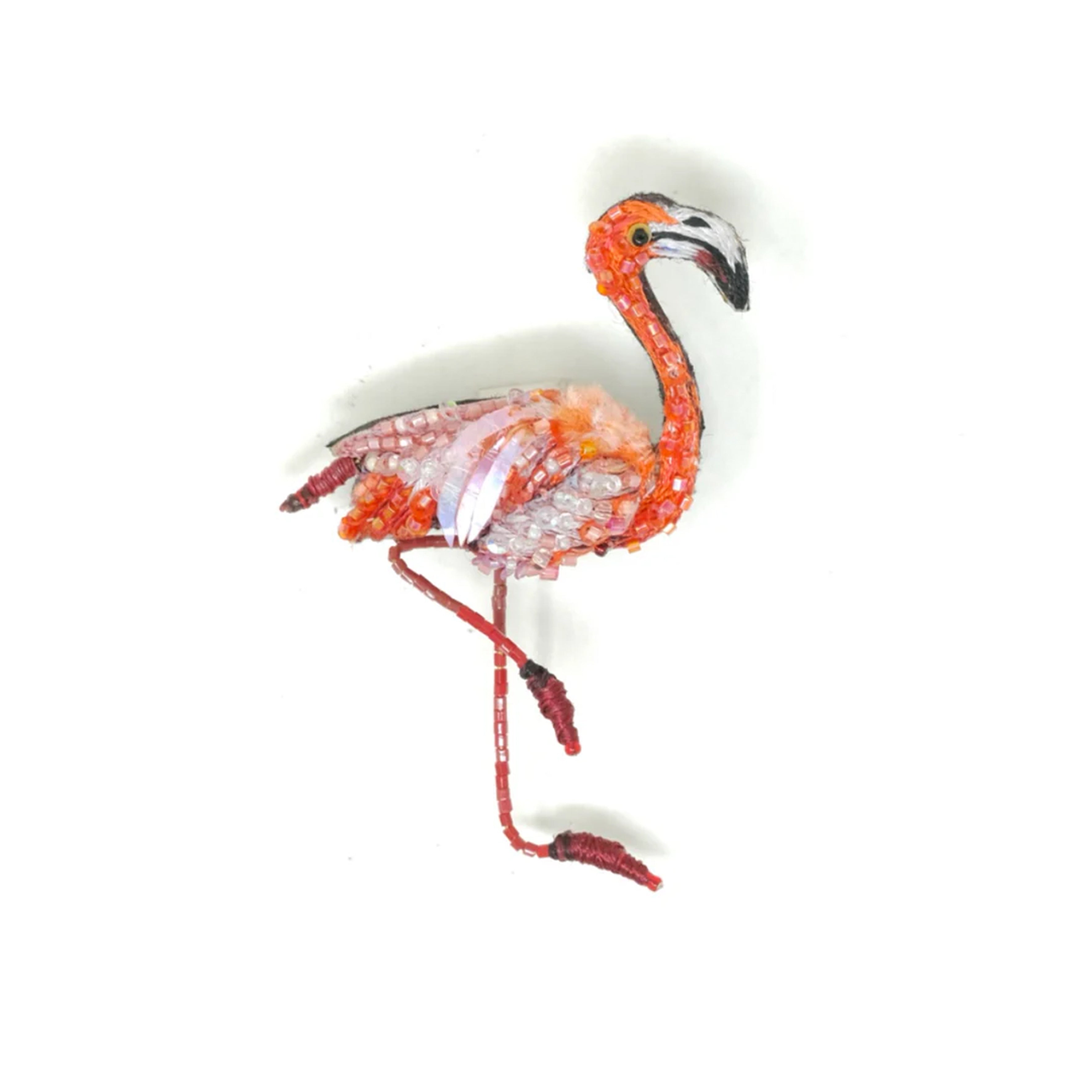 Caribbean Flamingo