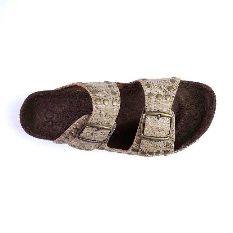 Isabel Slide | Reptile