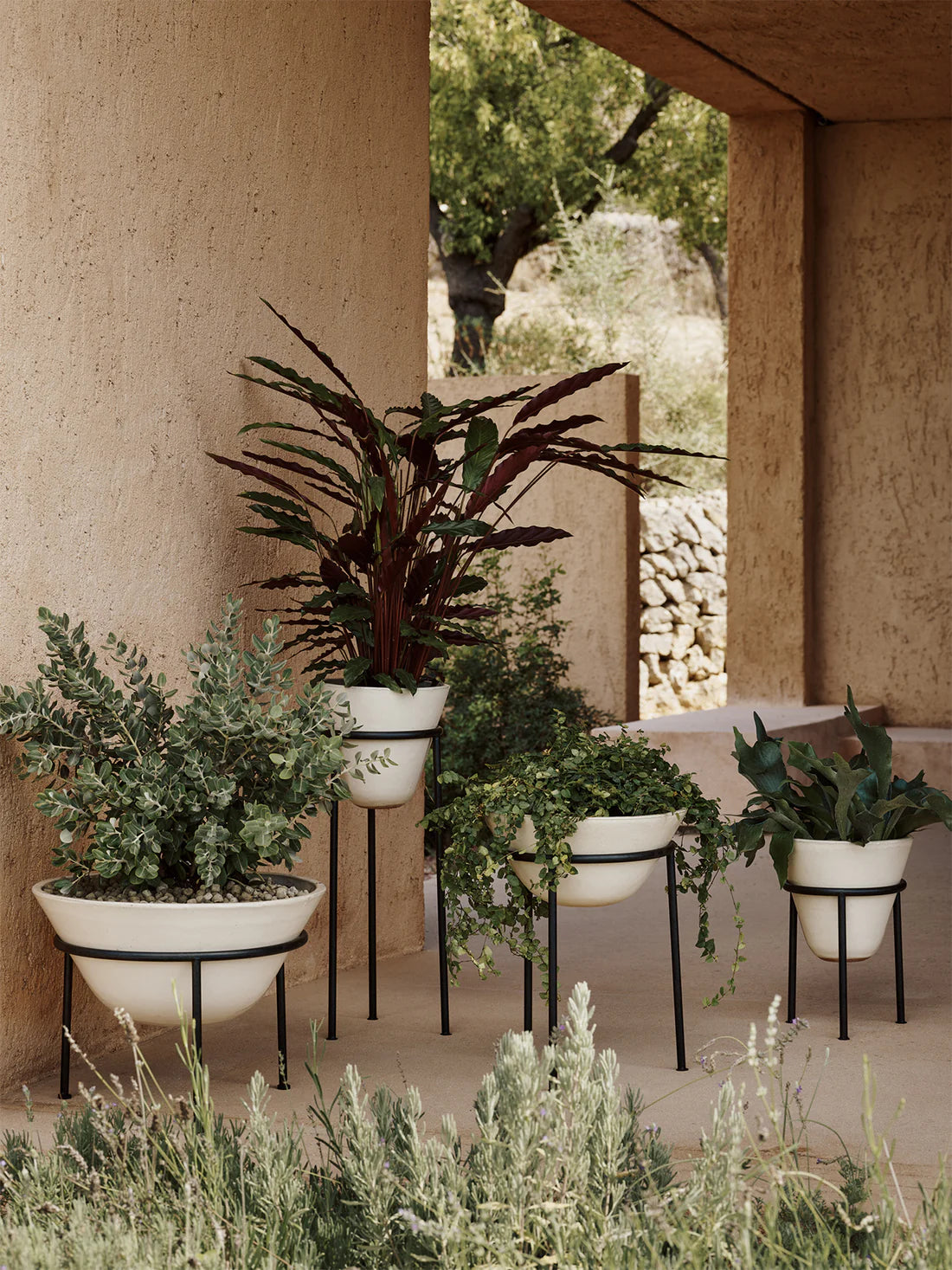 Daiza Planter | Ivory