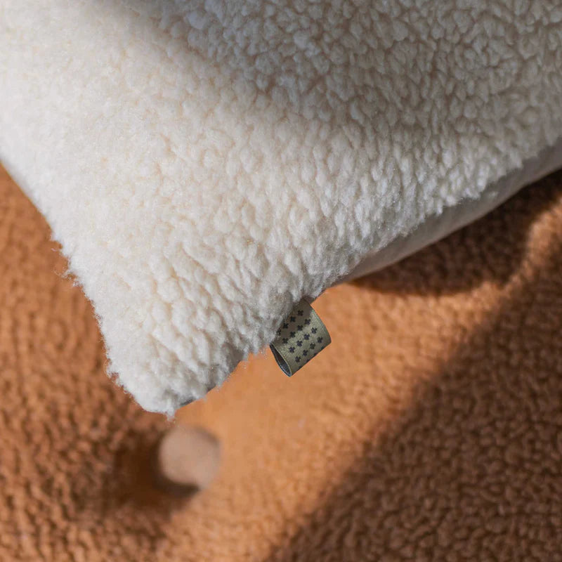 Teddy Cushion
