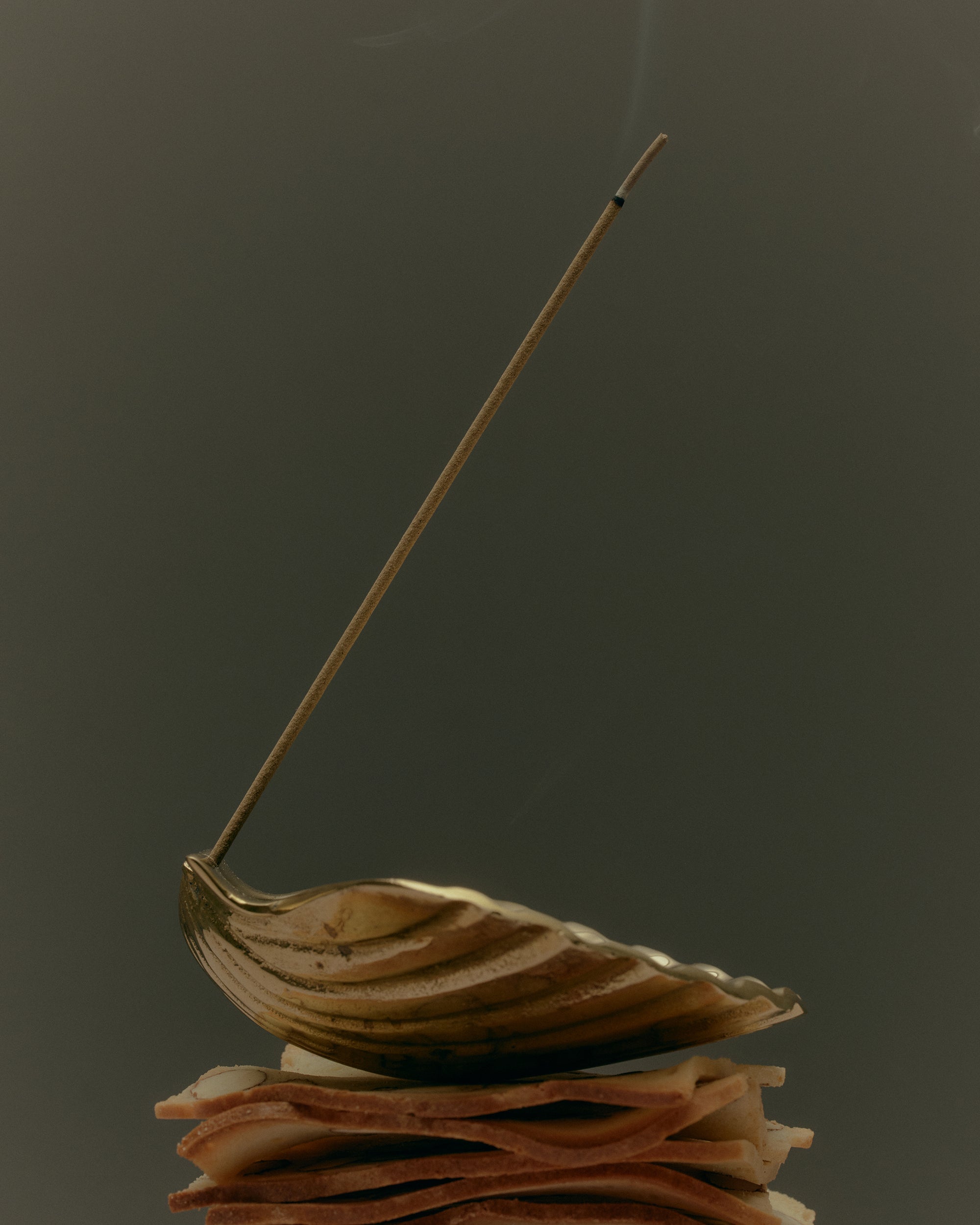 Scallop Incense Holder