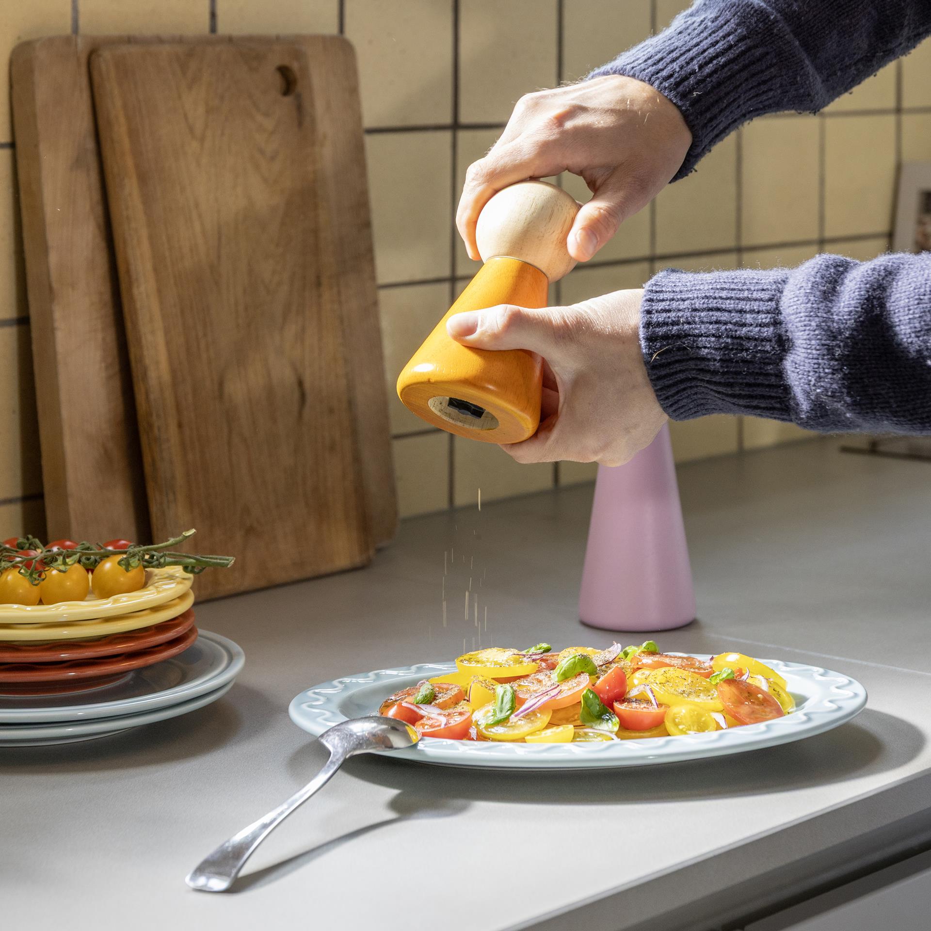 Salt & Pepper Halma Small | Orange