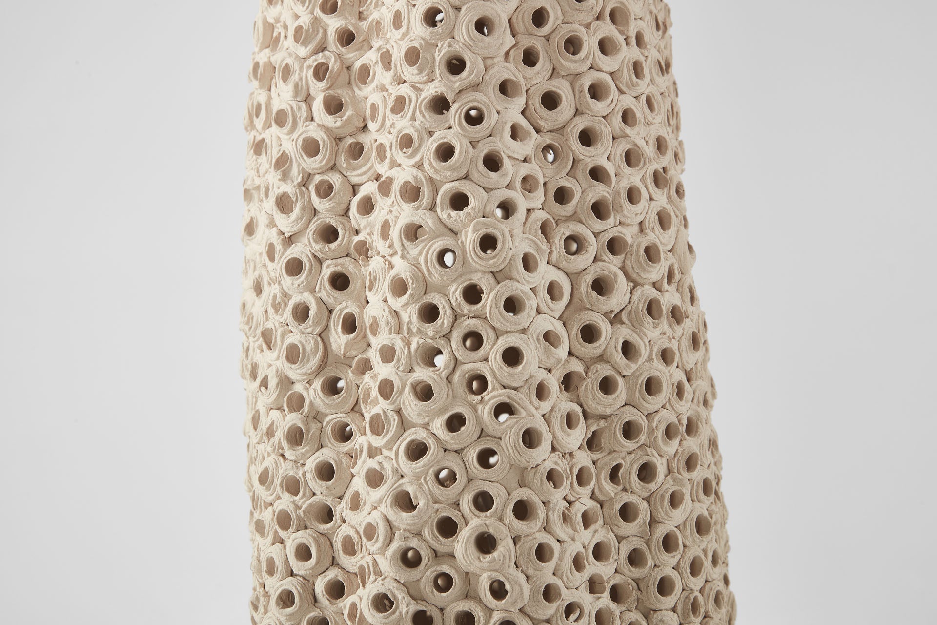 Coralite Lamp