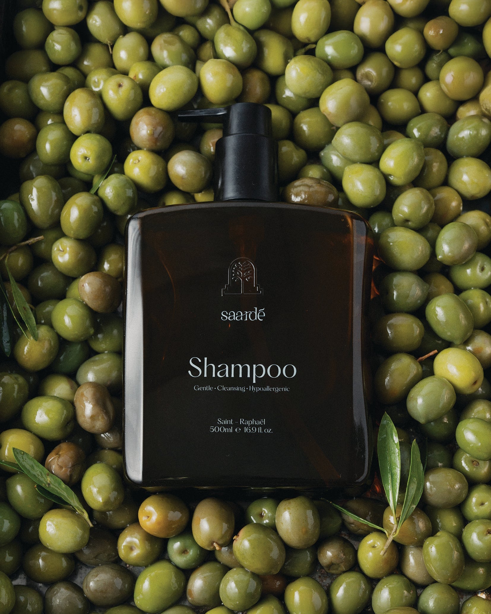 Shampoo | St Raphael