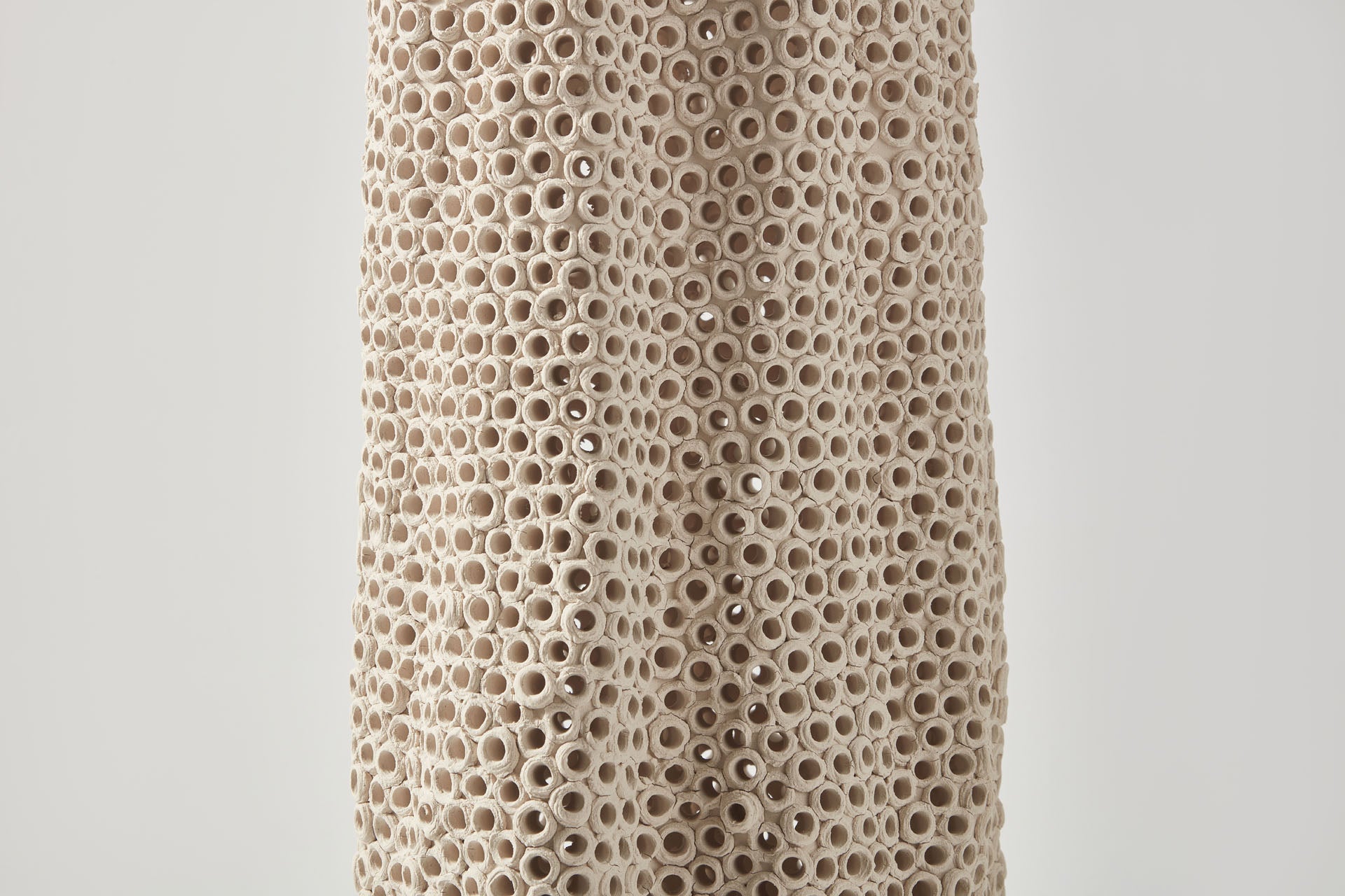 Coralite Vase | Medium