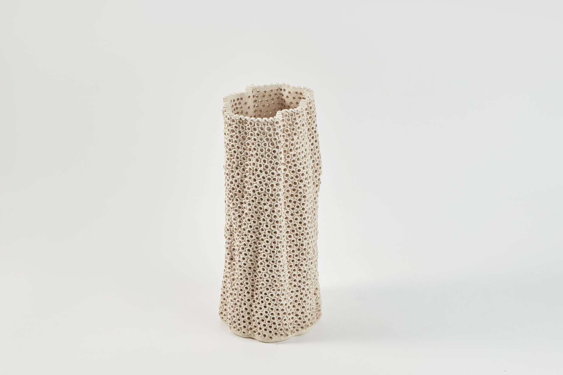 Coralite Vase | Medium