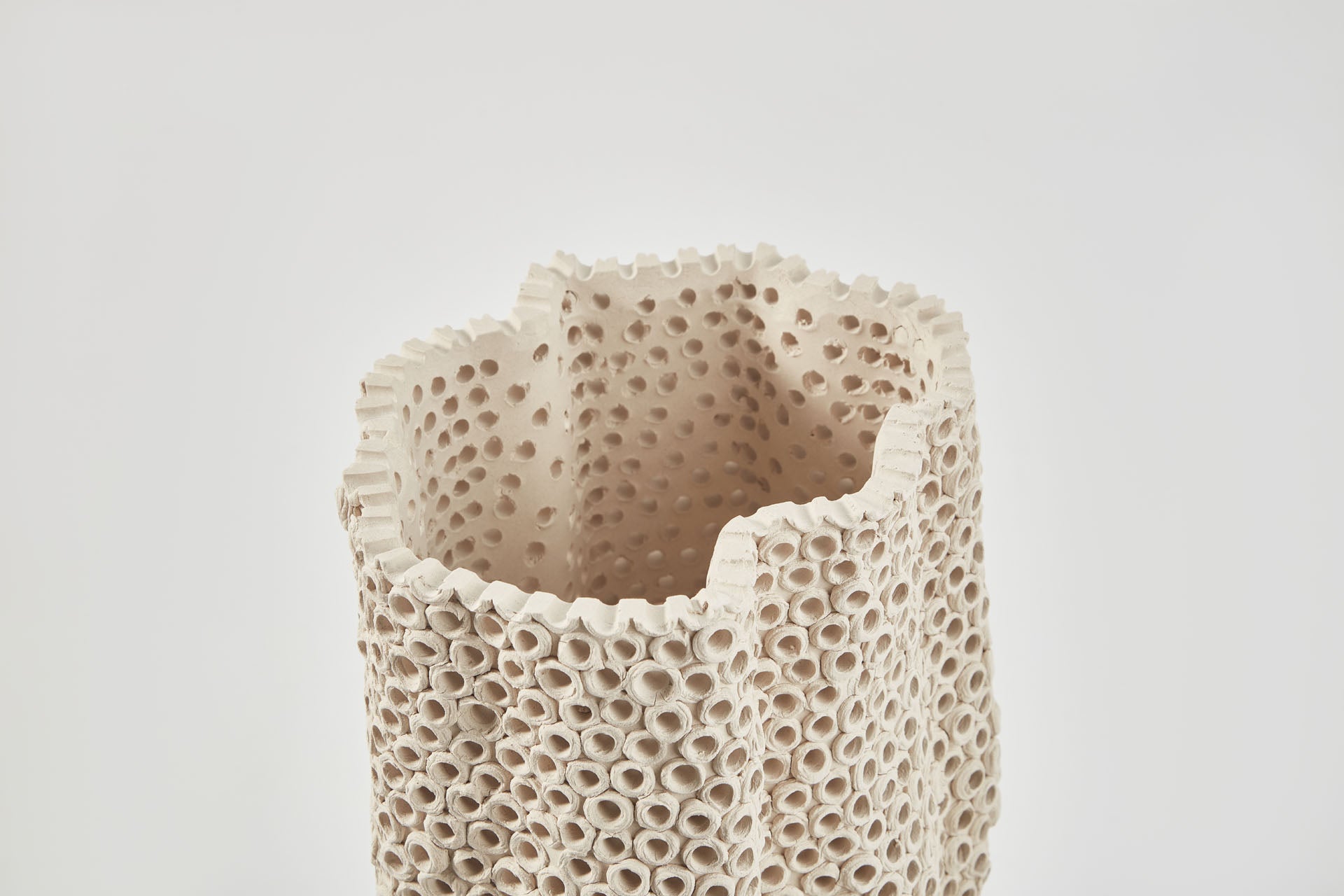 Coralite Vase | Medium
