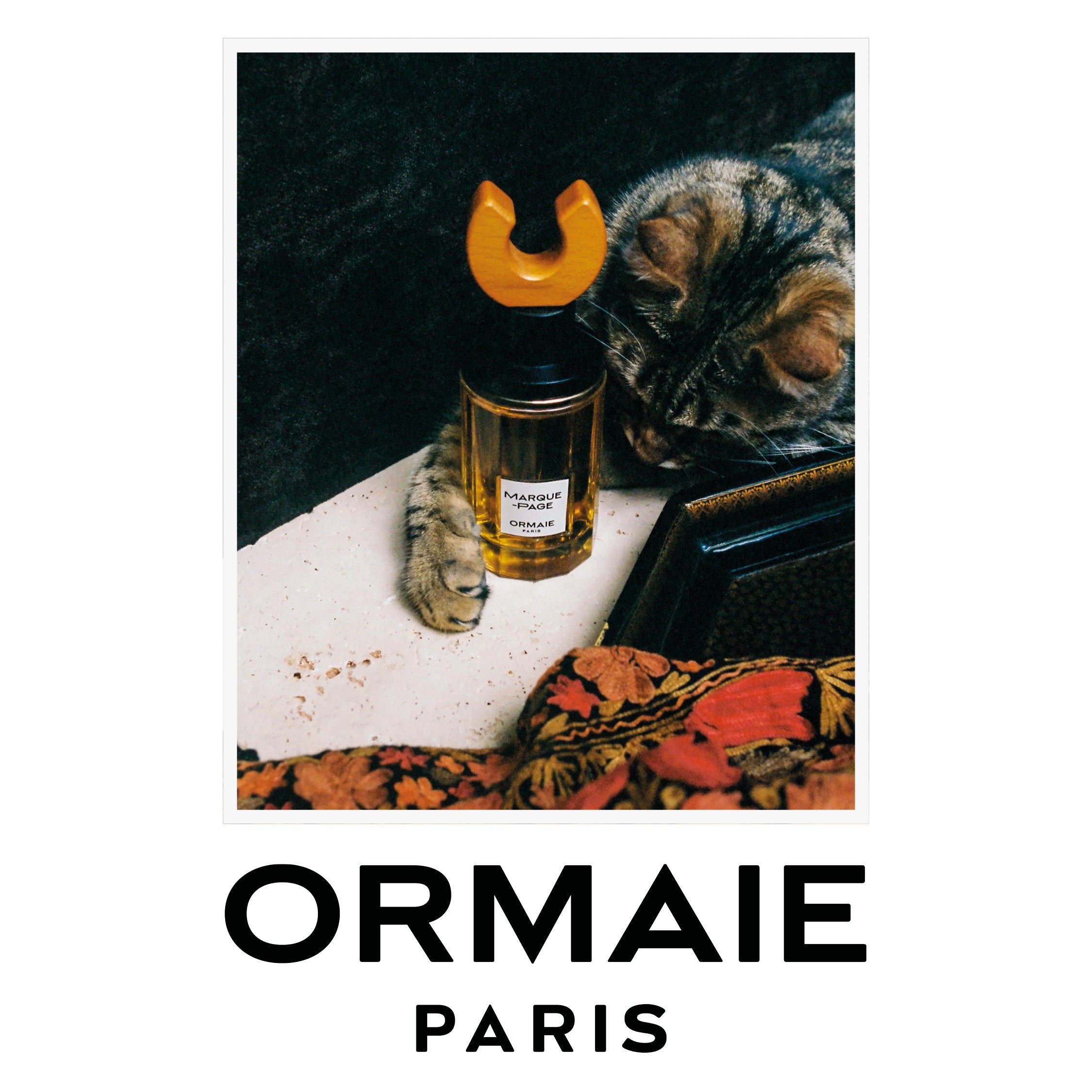 Marque-Page | 100ml