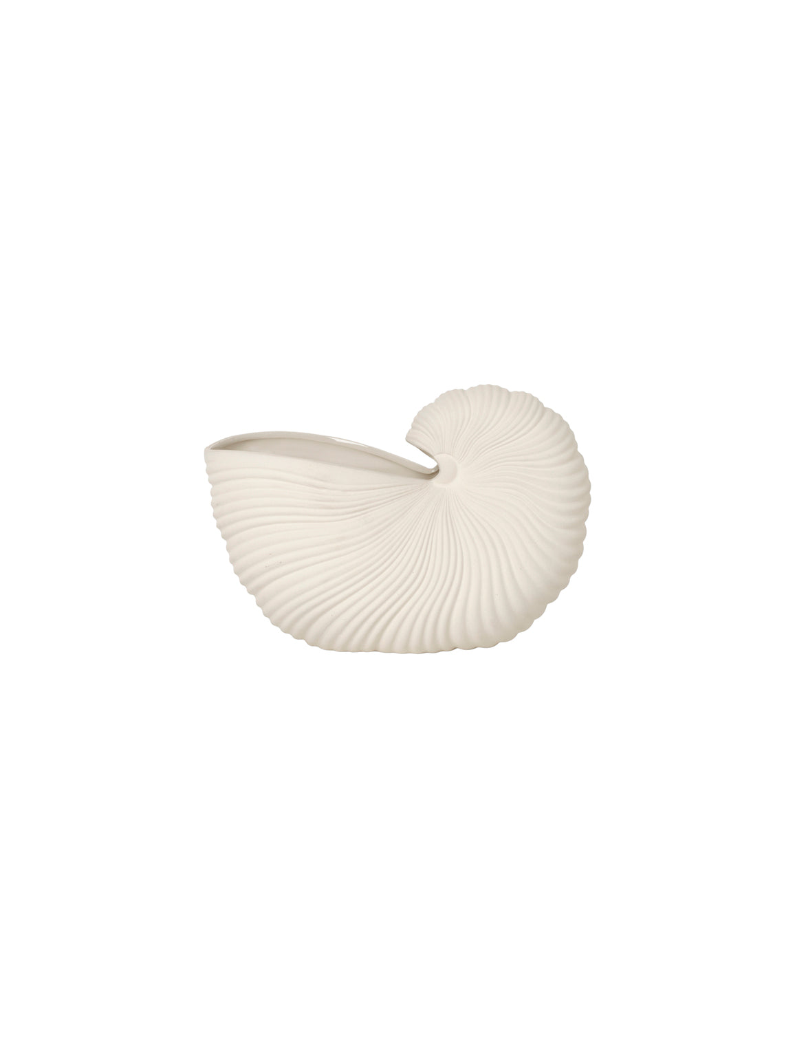 Shell Pot