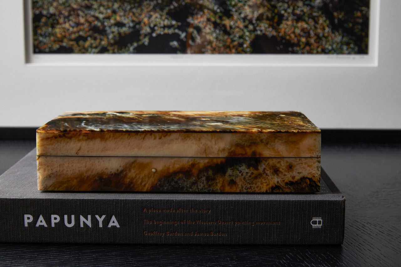 Safari Horn & Resin Square Box