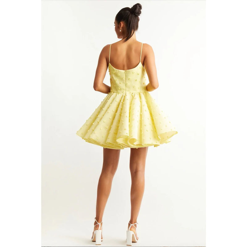 Paper Daisy Mini Dress