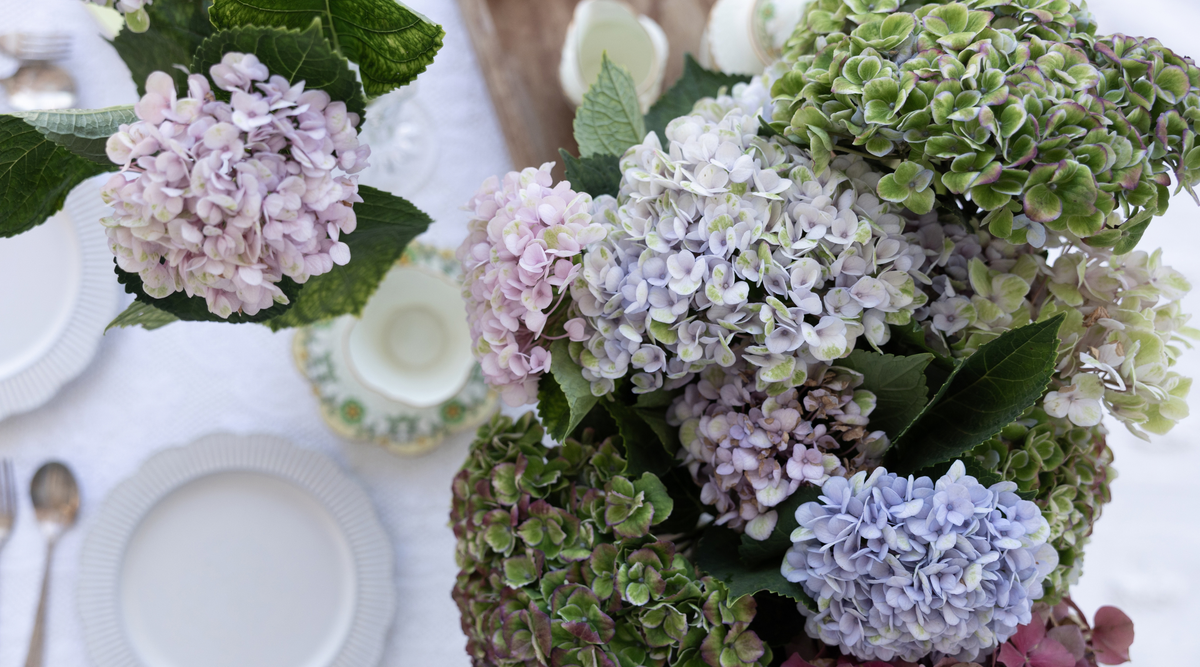 The Season of Invitations