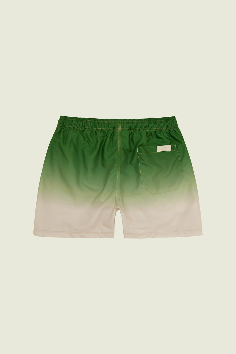 Beach Grade Swim Shorts