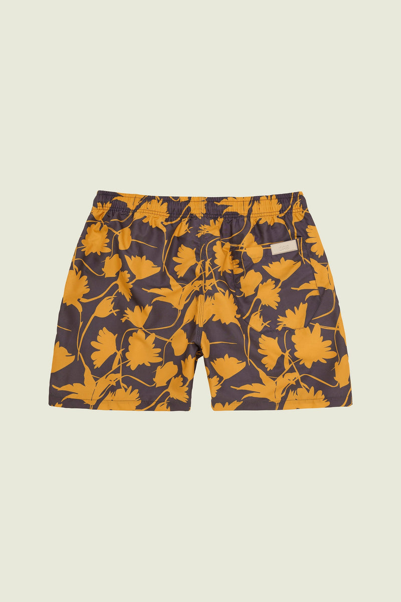 Provence Swim Shorts