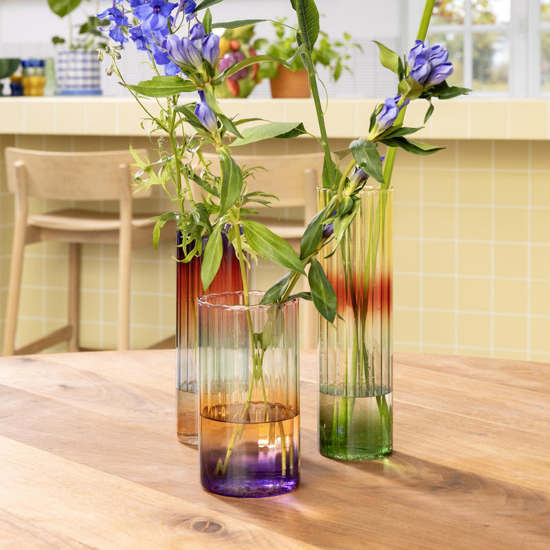 Vase Gradient Evening | Wide