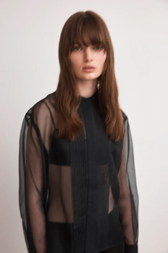 Zhu Organza Top