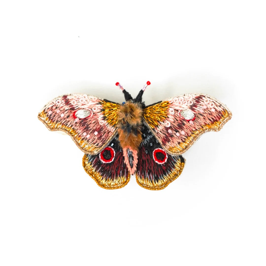 Emperor Mopane Moth