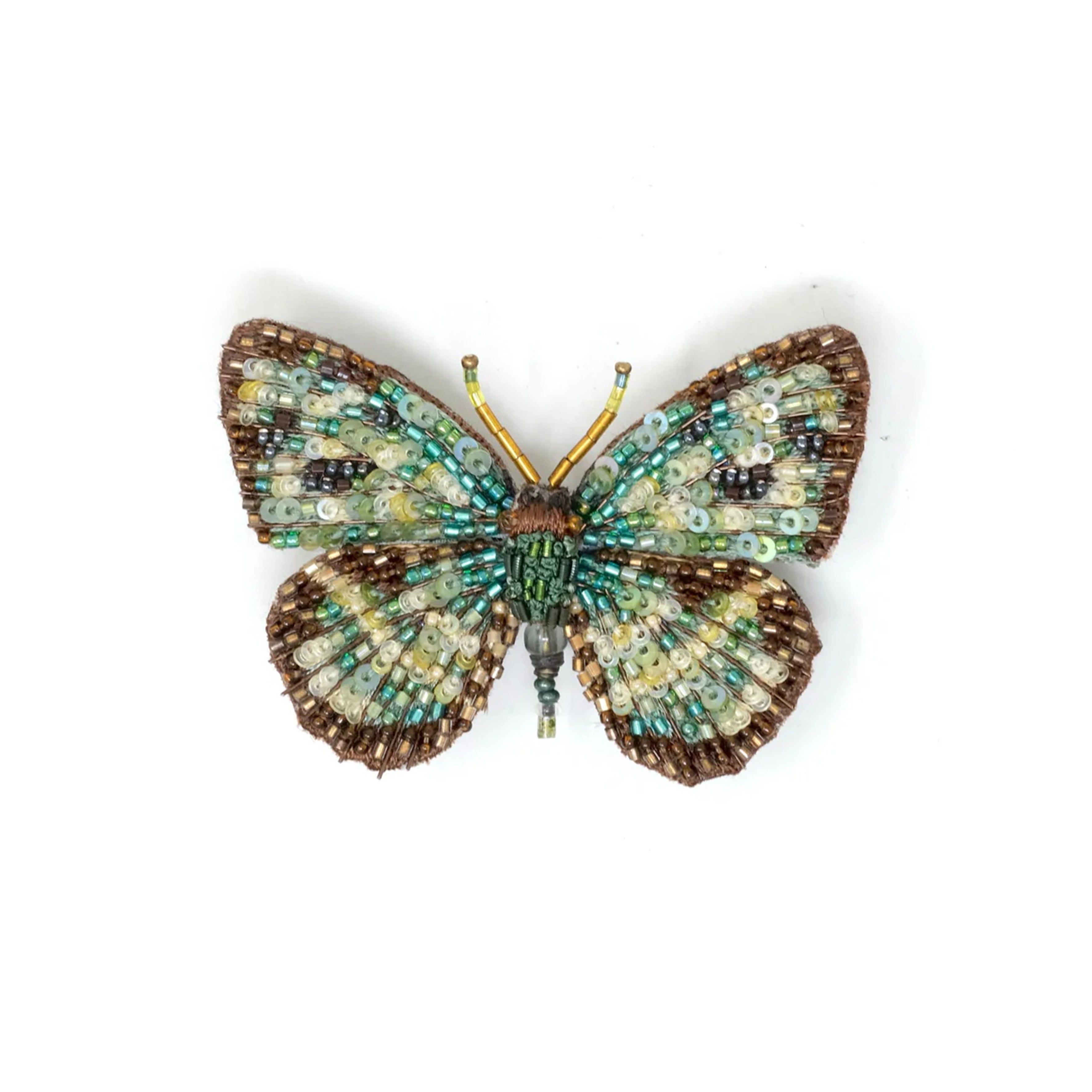 Four Spot Sailor Butterfly