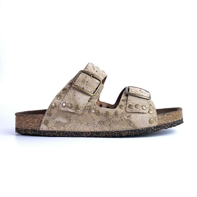 Isabel Slide | Reptile
