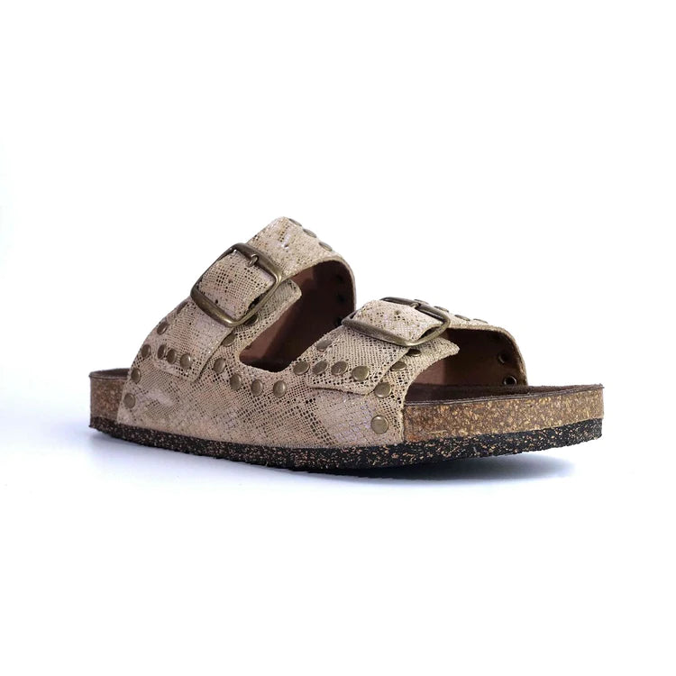 Isabel Slide | Reptile