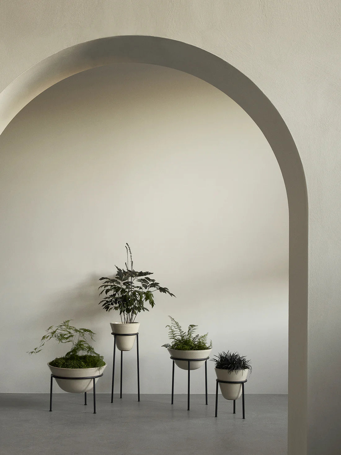 Daiza Planter | Ivory