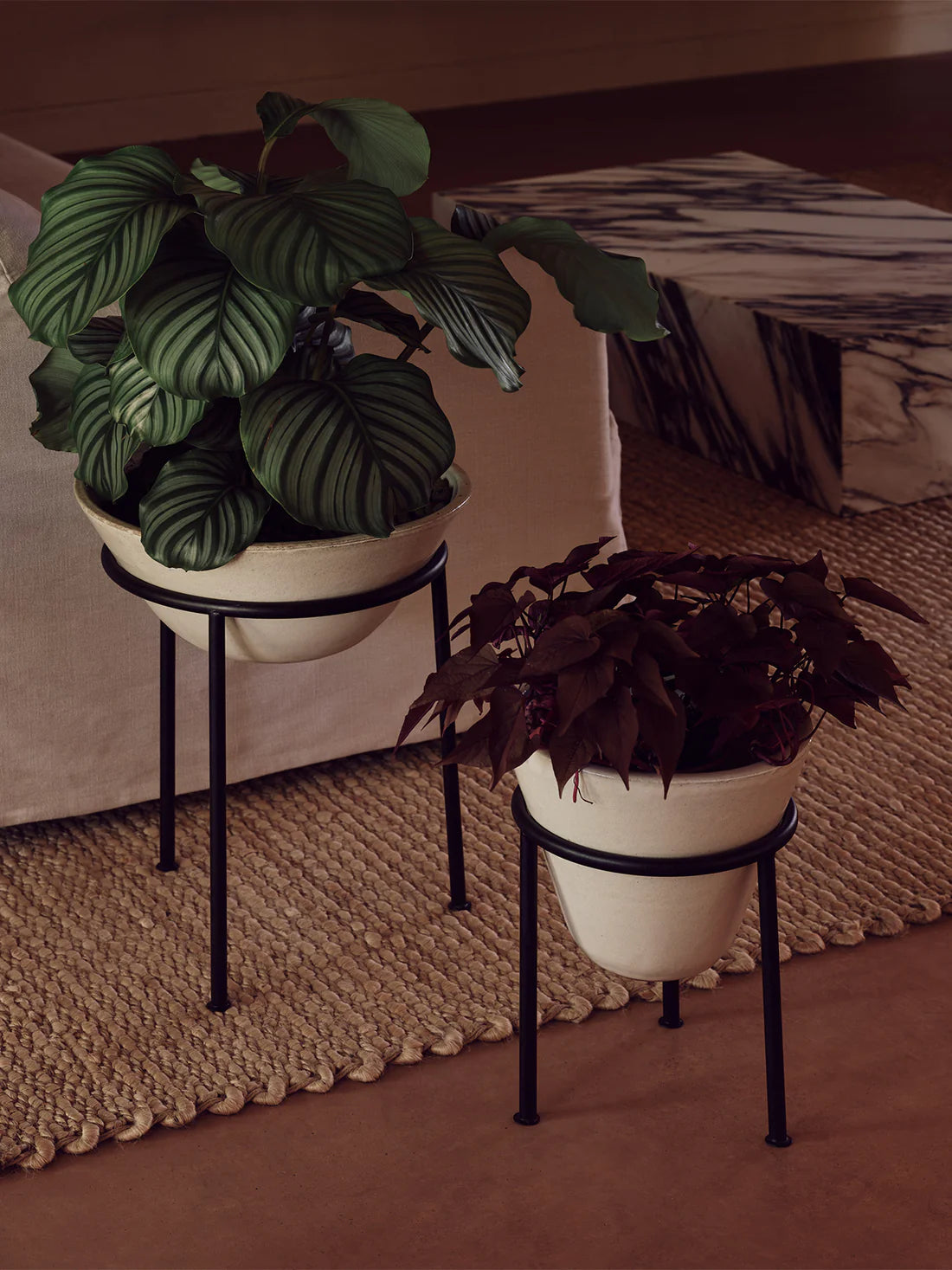 Daiza Planter | Ivory
