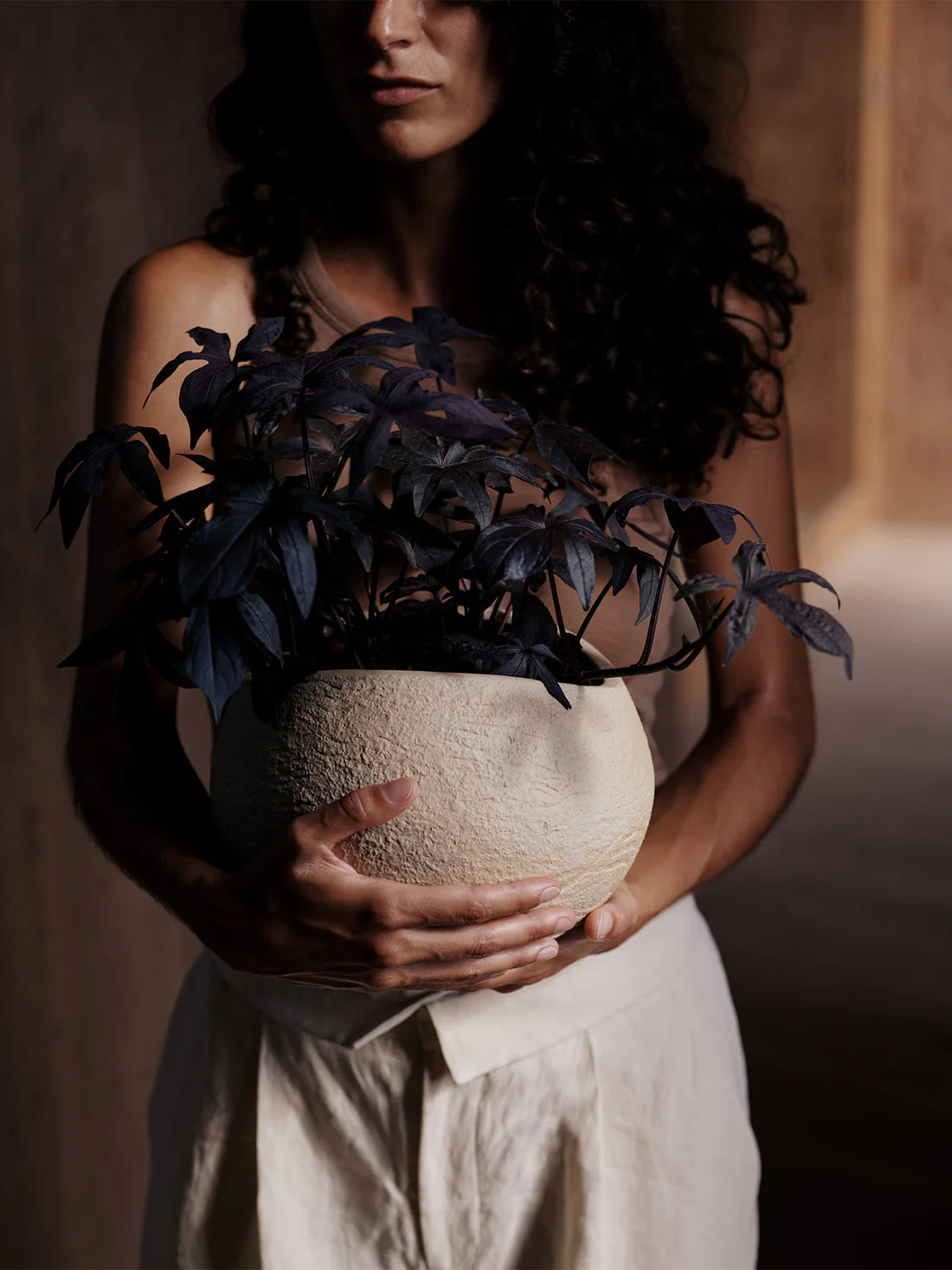 Plantas Planter | Ivory