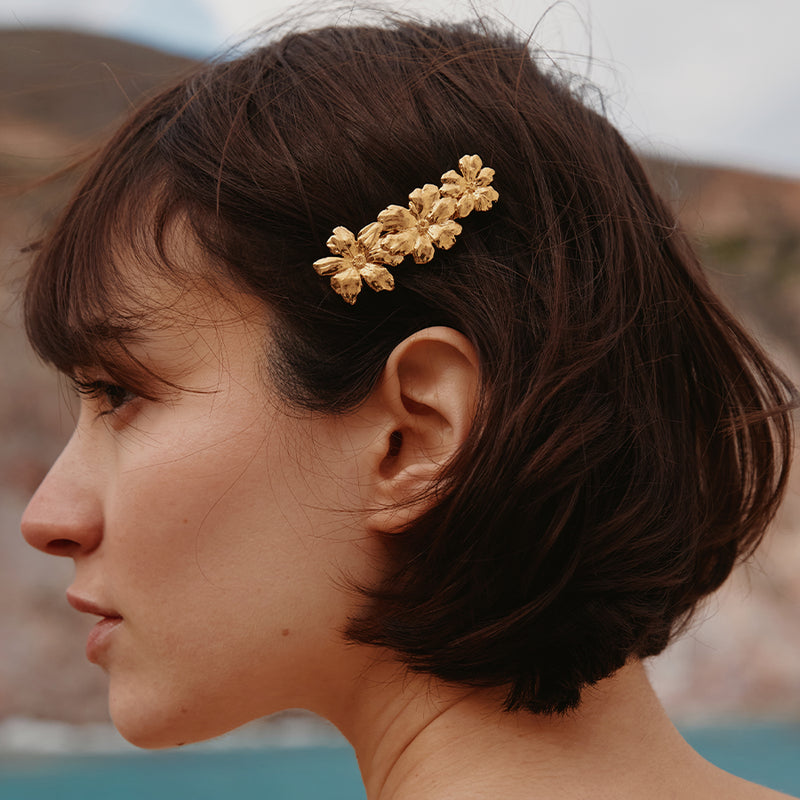 Rosaria Hair Clip