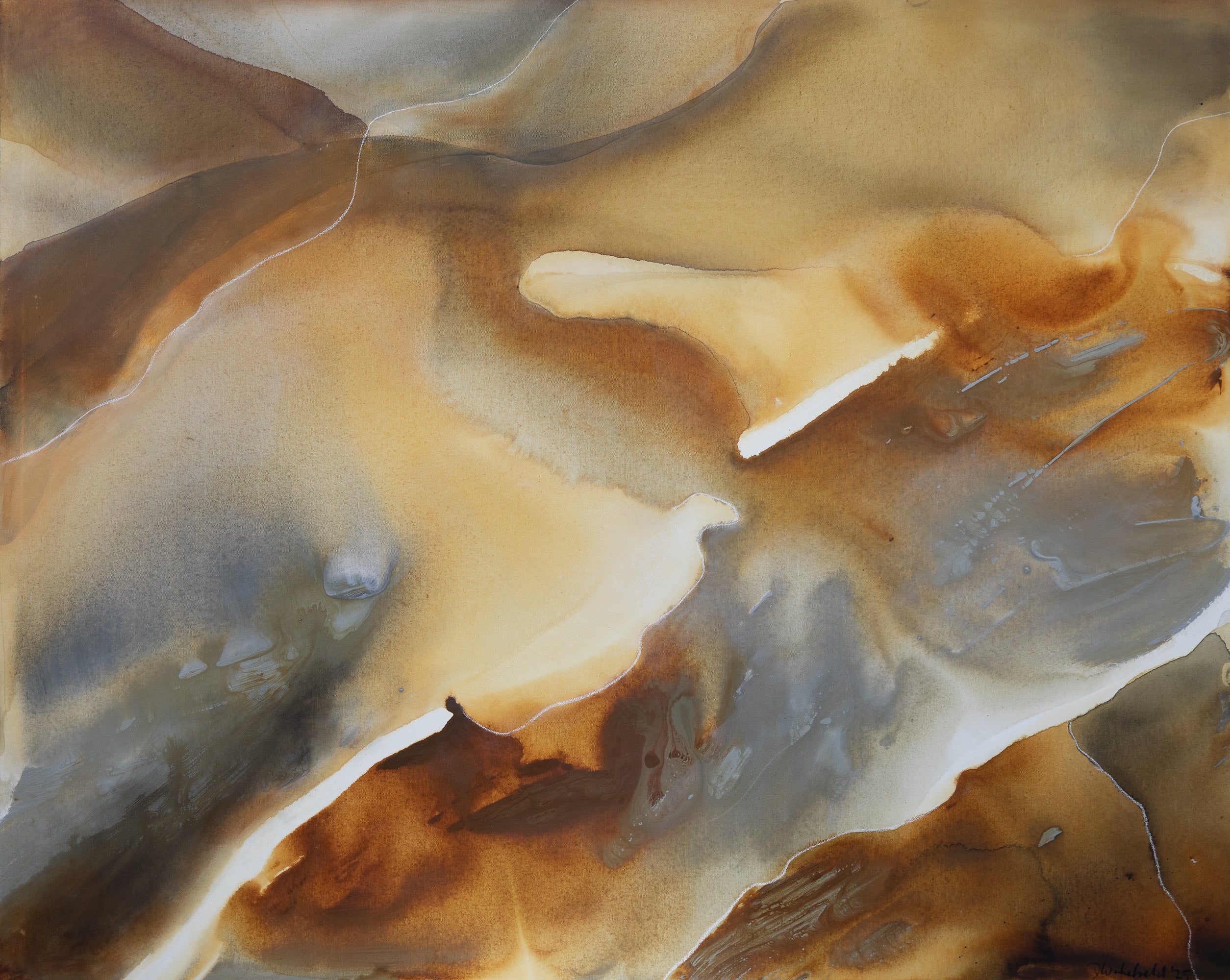 Safi 2 | Dinah Wakefield