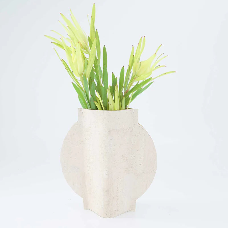 Vita Vase