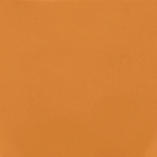 Good Morning Plate | Large