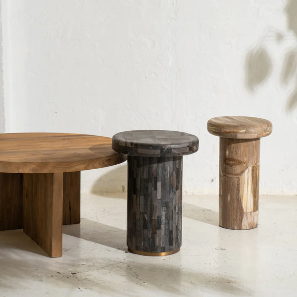 Ona Petrified Wood Side Table