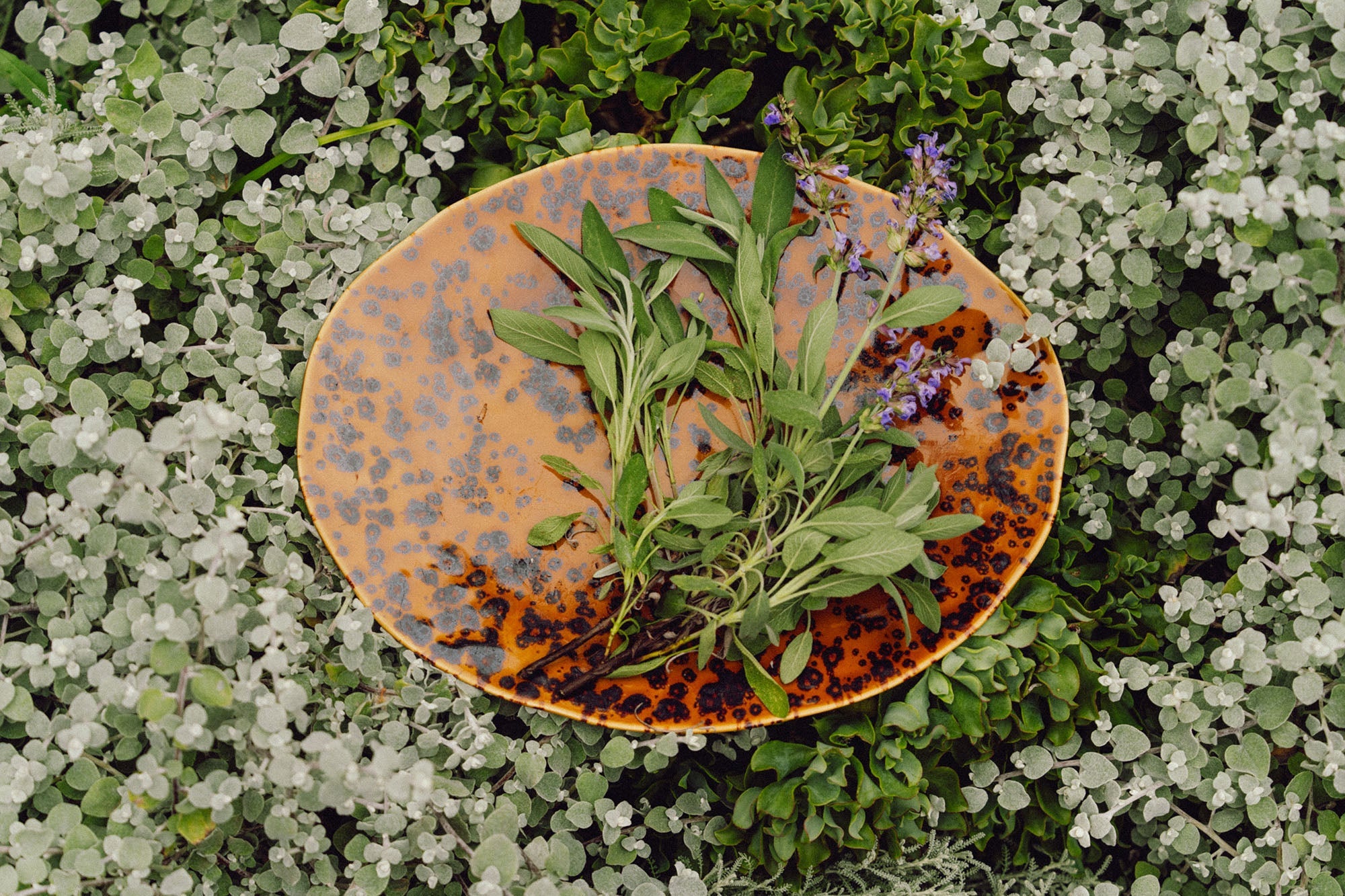 Serving Platter | Sunfleck