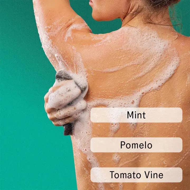 The Body Wash Concentrate | Halcyon Summers