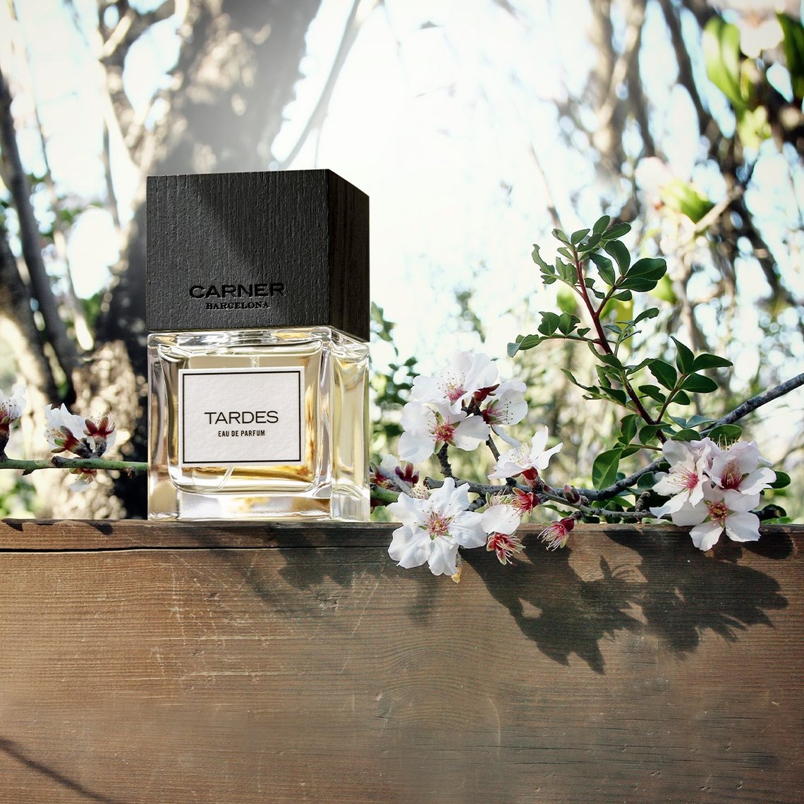 Tardes EDP & Hair Perfume Set