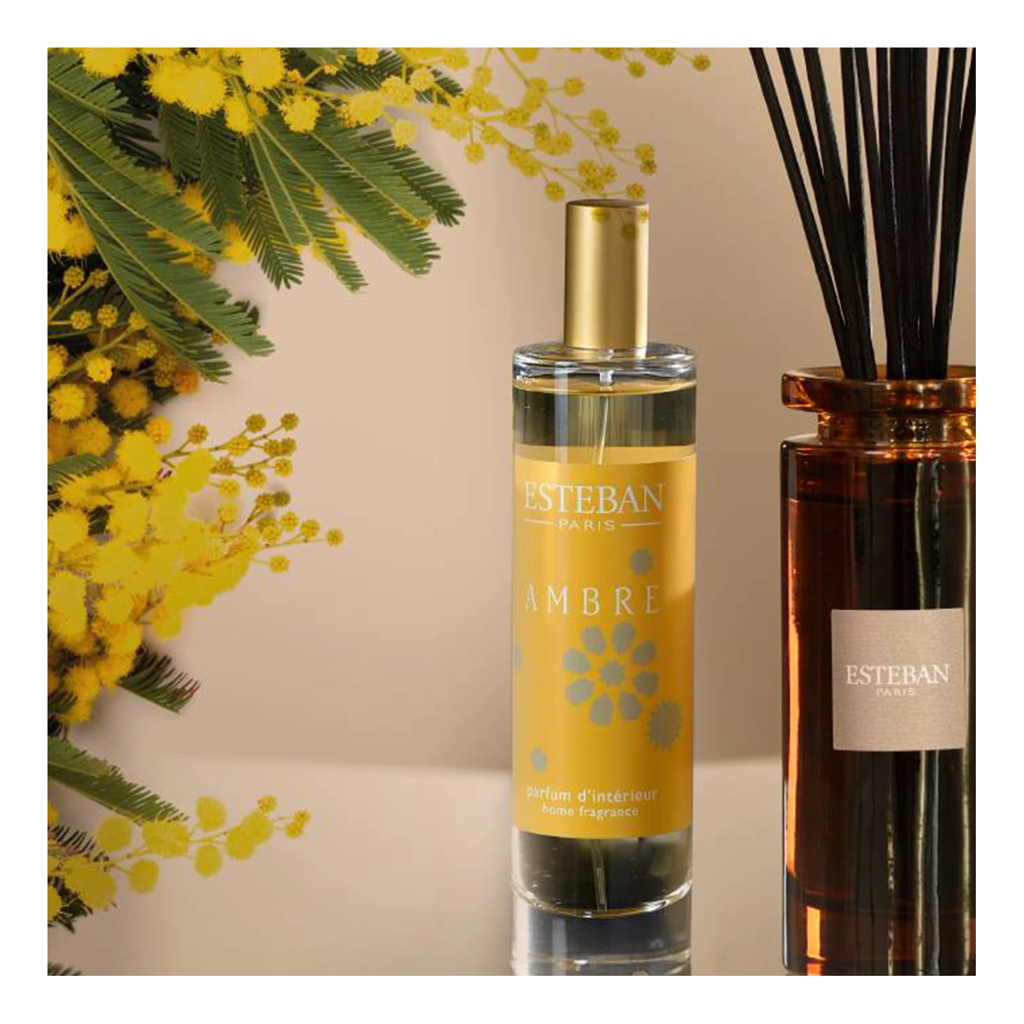 Esteban Ambre Room Spray